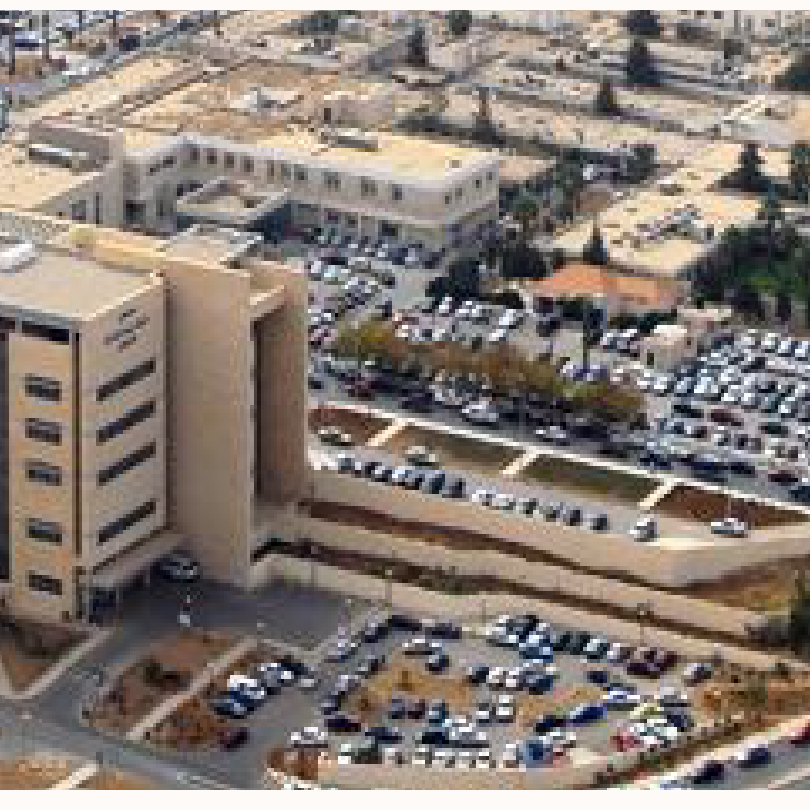 Medical City Discovery